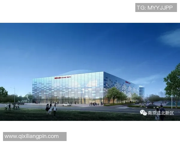 北京滑板队的区域防守策略解析与热点动态探讨